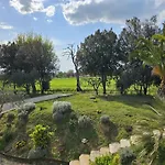 Il Magico Nido