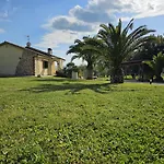 Il Magico Nido
