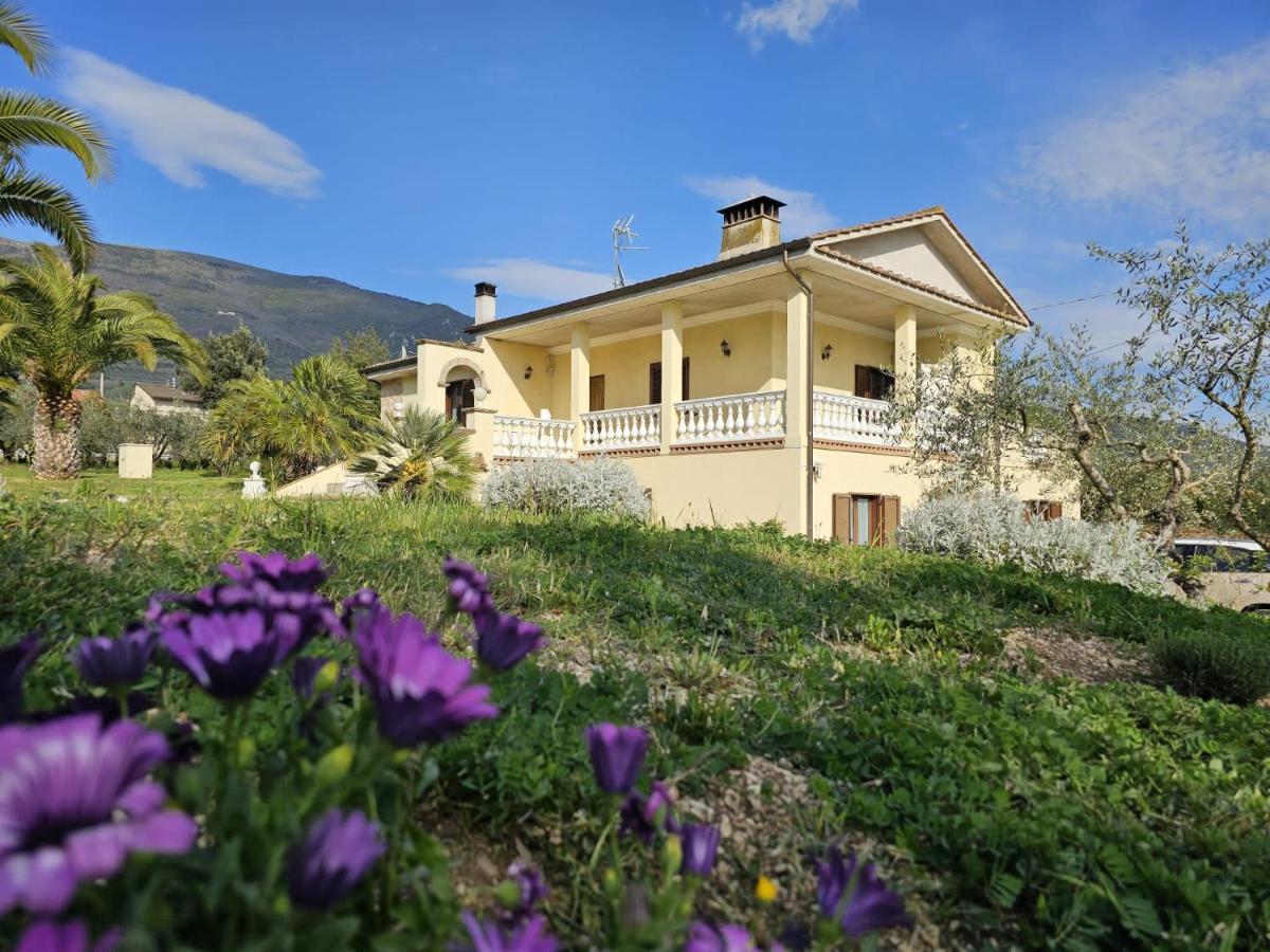 Il Magico Nido Apartment